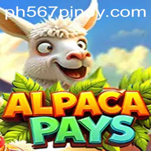 Dive Into the Enchanting World of AlpacaPays